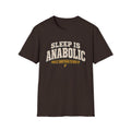 Sleep Is Anabolic T-Shirt